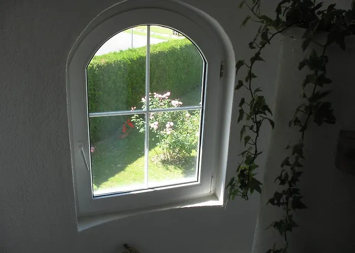 Doina ザラカロシュ