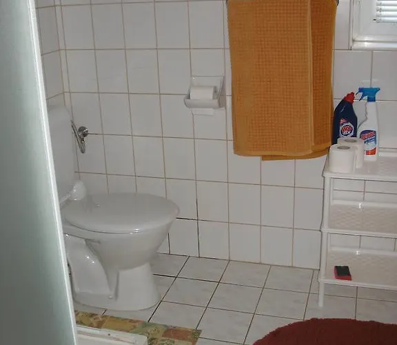 Doina ザラカロシュ