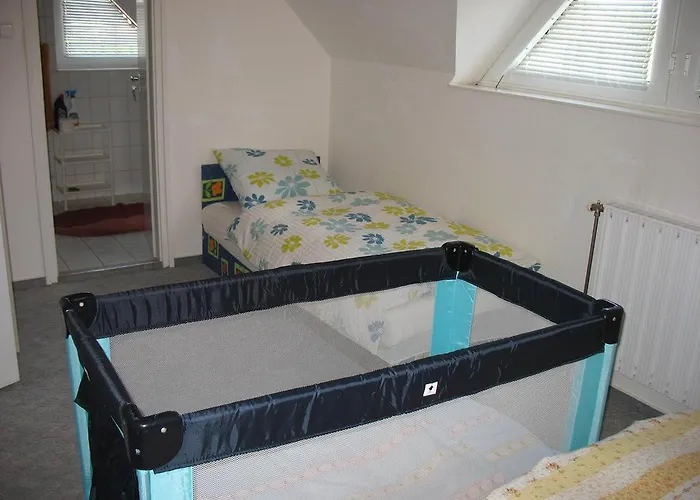 Doina ザラカロシュ