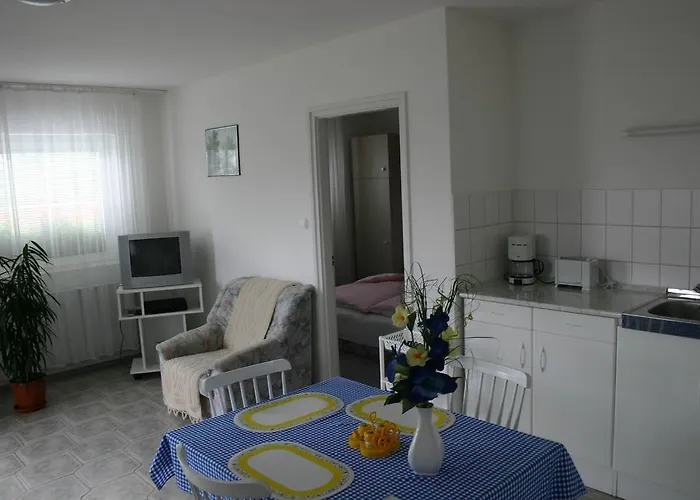 Doina ザラカロシュ